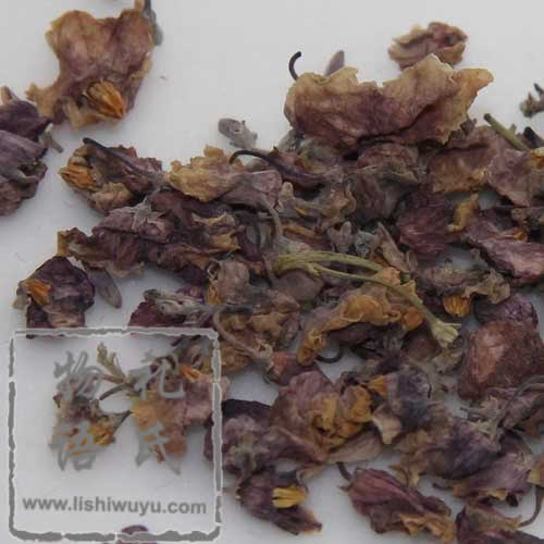 罗布麻花茶组图